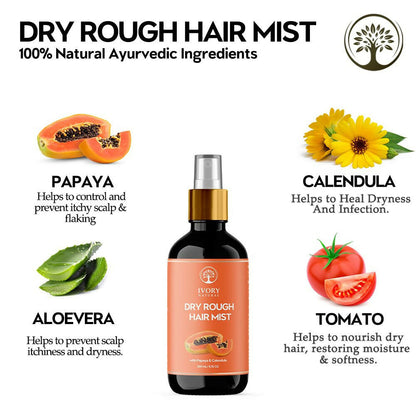 https://cdn.shopify.com/s/files/1/1857/6931/files/thXoYYTYdE.jpg?v=1717584587