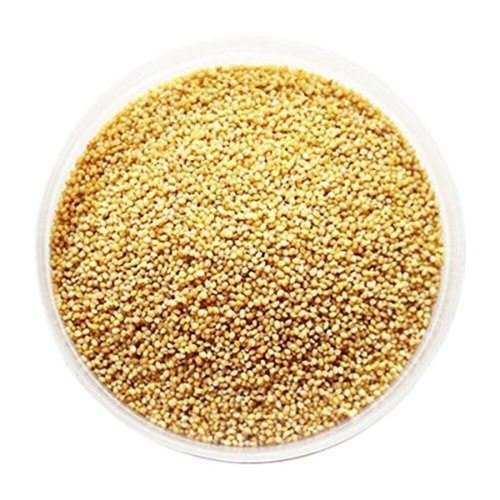 https://cdn.shopify.com/s/files/1/1857/6931/products/thinai-foxtail-millet-500x500.jpg?v=1759287602