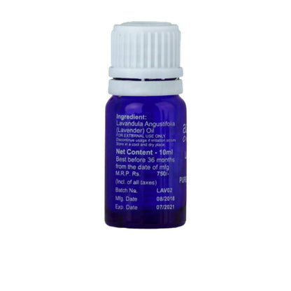 https://cdn.shopify.com/s/files/1/1857/6931/products/tiaqfMPqqc.jpg?v=1613904267