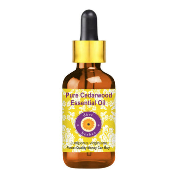 https://cdn.shopify.com/s/files/1/1857/6931/products/tkspe45VRK.jpg?v=1762382565