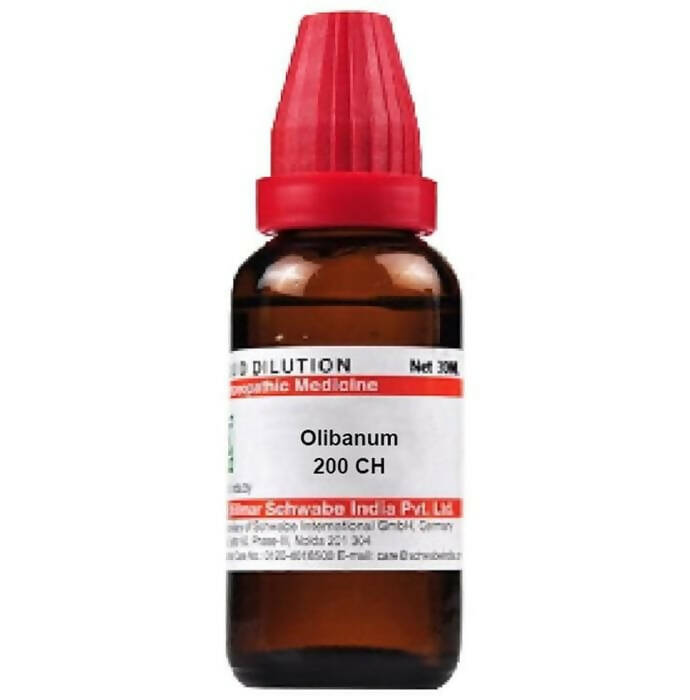 https://cdn.shopify.com/s/files/1/1857/6931/products/tlJNW4iBqA.jpg?v=1705389889