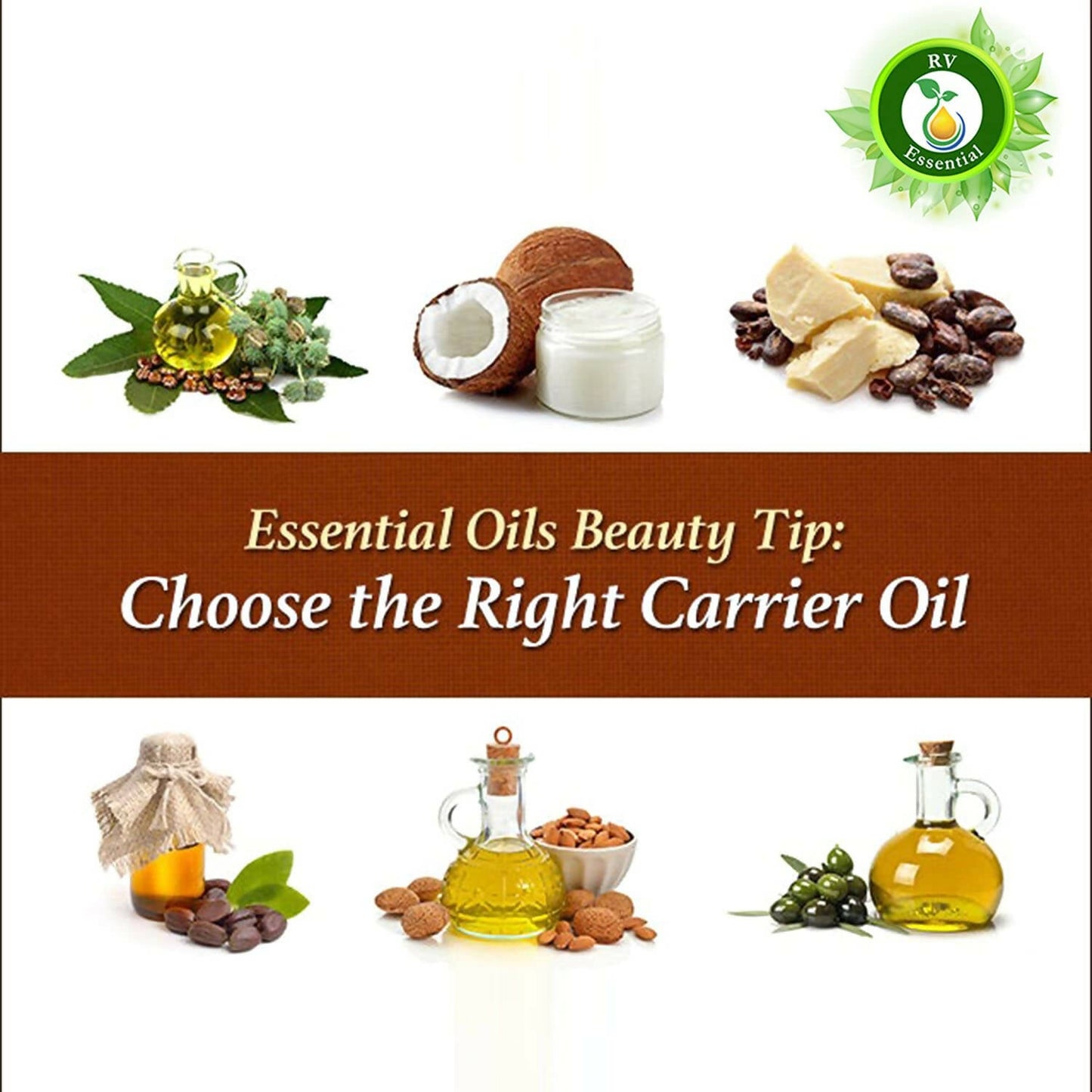 https://cdn.shopify.com/s/files/1/1857/6931/products/tlOKG2d9rB.jpg?v=1682762590