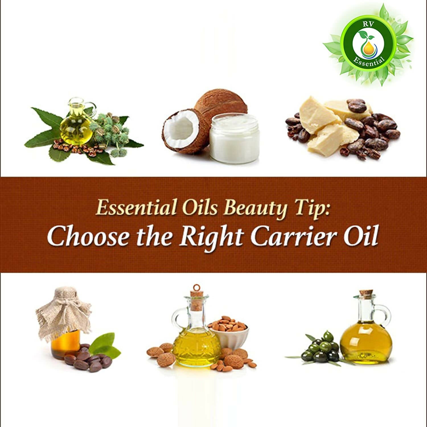 https://cdn.shopify.com/s/files/1/1857/6931/products/tlOKG2d9rB.jpg?v=1682762590
