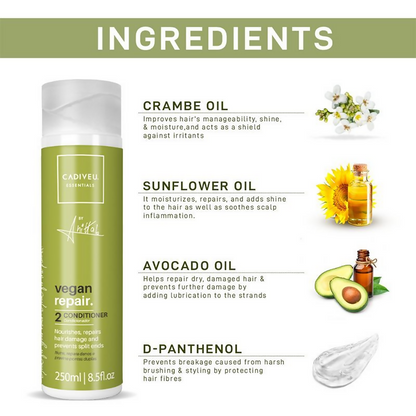 https://cdn.shopify.com/s/files/1/1857/6931/files/trNetBEVhq.png?v=1722227338