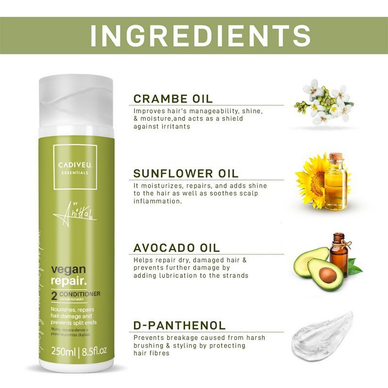 https://cdn.shopify.com/s/files/1/1857/6931/files/trNetBEVhq.png?v=1722227338