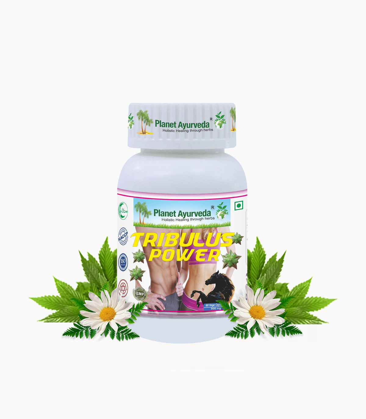 https://cdn.shopify.com/s/files/1/1857/6931/files/tribulus-power-capsules.png?v=1787576122