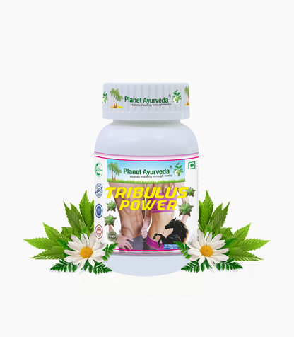 https://cdn.shopify.com/s/files/1/1857/6931/files/tribulus-power-capsules.png?v=1787576122