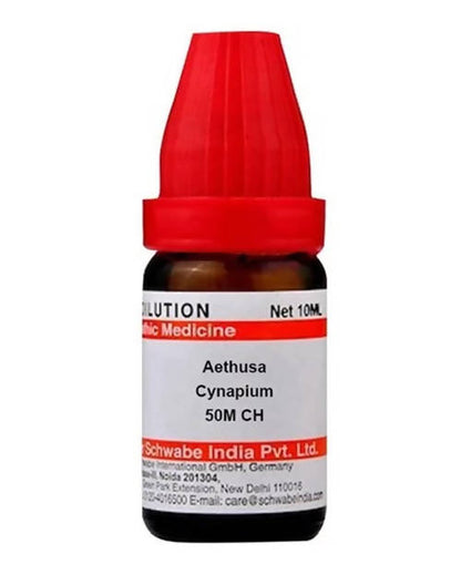 https://cdn.shopify.com/s/files/1/1857/6931/products/ts8M8xlRQZ.jpg?v=1641377308