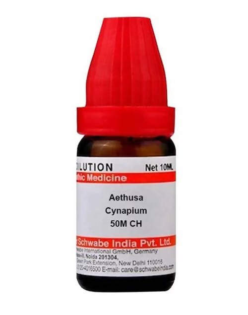 https://cdn.shopify.com/s/files/1/1857/6931/products/ts8M8xlRQZ.jpg?v=1641377308