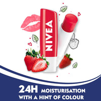 https://cdn.shopify.com/s/files/1/1857/6931/products/tsSzbvyIBf.jpg?v=1646208396