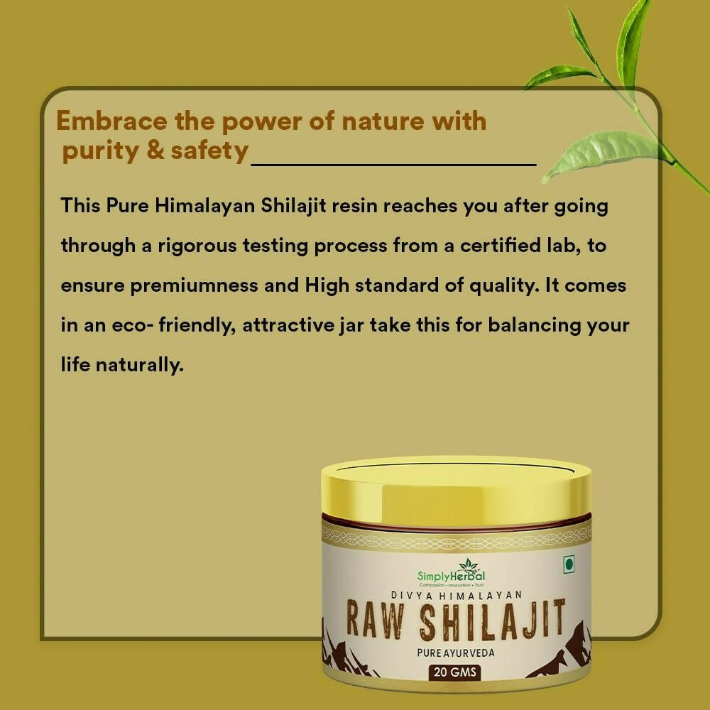 https://cdn.shopify.com/s/files/1/1857/6931/products/tx4TYiwL4a.jpg?v=1694597280