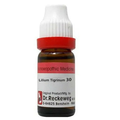 https://cdn.shopify.com/s/files/1/1857/6931/products/tyCd5vWoqE.jpg?v=1679146148