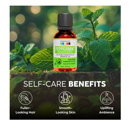 https://cdn.shopify.com/s/files/1/1857/6931/files/tyzpT4phbW.png?v=1723114853