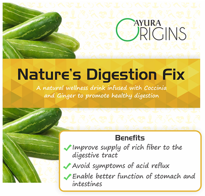 Image 3 of Ayura Origins Nature's Digestion Fix Powder