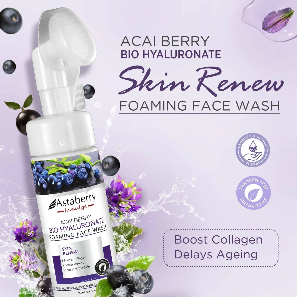 https://cdn.shopify.com/s/files/1/1857/6931/files/u24C8cWQsp-369700.jpg?v=1736149879