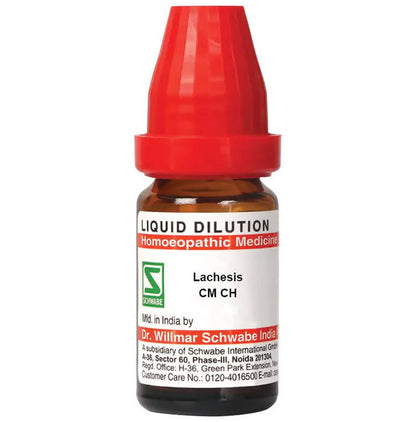 https://cdn.shopify.com/s/files/1/1857/6931/products/u2SQzU0cgg.jpg?v=1655271463