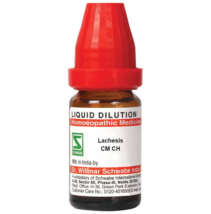 https://cdn.shopify.com/s/files/1/1857/6931/products/u2SQzU0cgg.jpg?v=1655271463