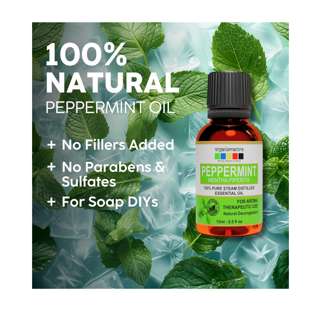 https://cdn.shopify.com/s/files/1/1857/6931/files/u2pxVlZP8k.png?v=1723114853