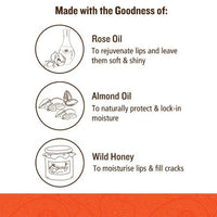 https://cdn.shopify.com/s/files/1/1857/6931/products/u3TWmMANyL.jpg?v=1629531230