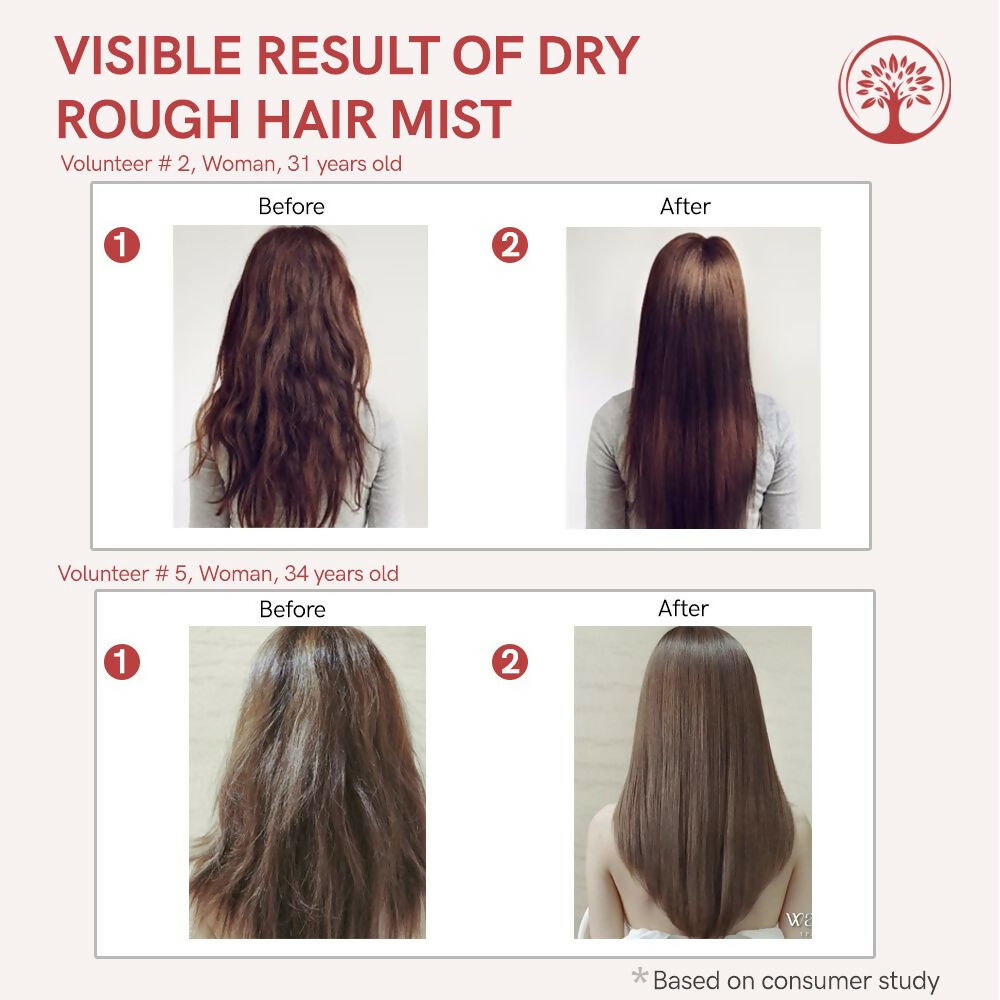 https://cdn.shopify.com/s/files/1/1857/6931/files/u49NeGsgJS.jpg?v=1717584588