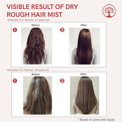 https://cdn.shopify.com/s/files/1/1857/6931/files/u49NeGsgJS.jpg?v=1717584588