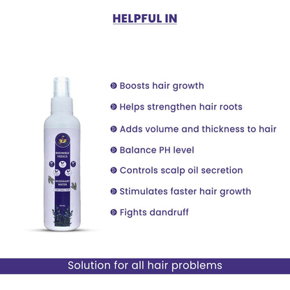 https://cdn.shopify.com/s/files/1/1857/6931/files/u4hcetjur7.jpg?v=1727762707