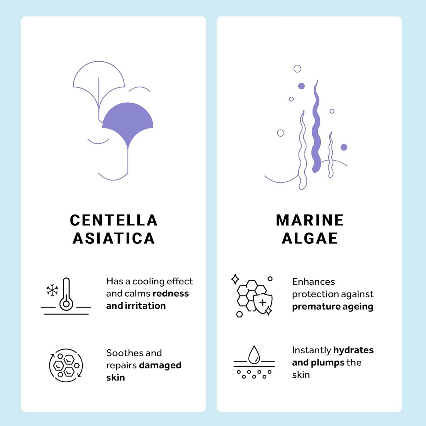https://cdn.shopify.com/s/files/1/1857/6931/files/u8G0m9vUwu.png?v=1724325551