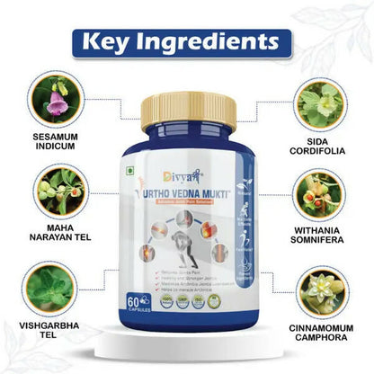 https://cdn.shopify.com/s/files/1/1857/6931/products/u98szBxO55.jpg?v=1672209973
