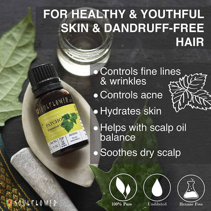 https://cdn.shopify.com/s/files/1/1857/6931/products/u9PrTc0uI6.jpg?v=1614911256