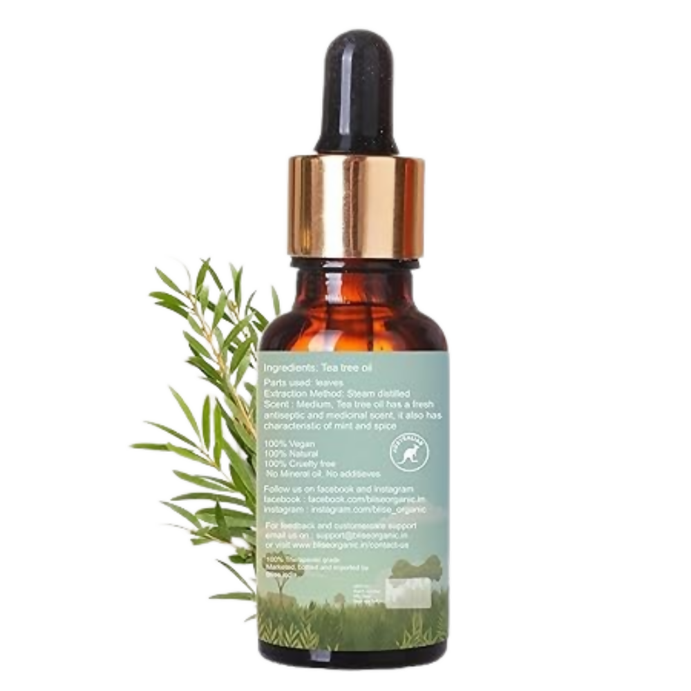 https://cdn.shopify.com/s/files/1/1857/6931/files/uB6k3vmtke.png?v=1777963390