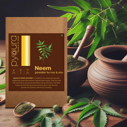 https://cdn.shopify.com/s/files/1/1857/6931/files/uDdM4KnfdU.png?v=1731320257