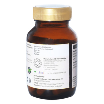 https://cdn.shopify.com/s/files/1/1857/6931/products/uGwkeJlH4C.jpg?v=1640776088