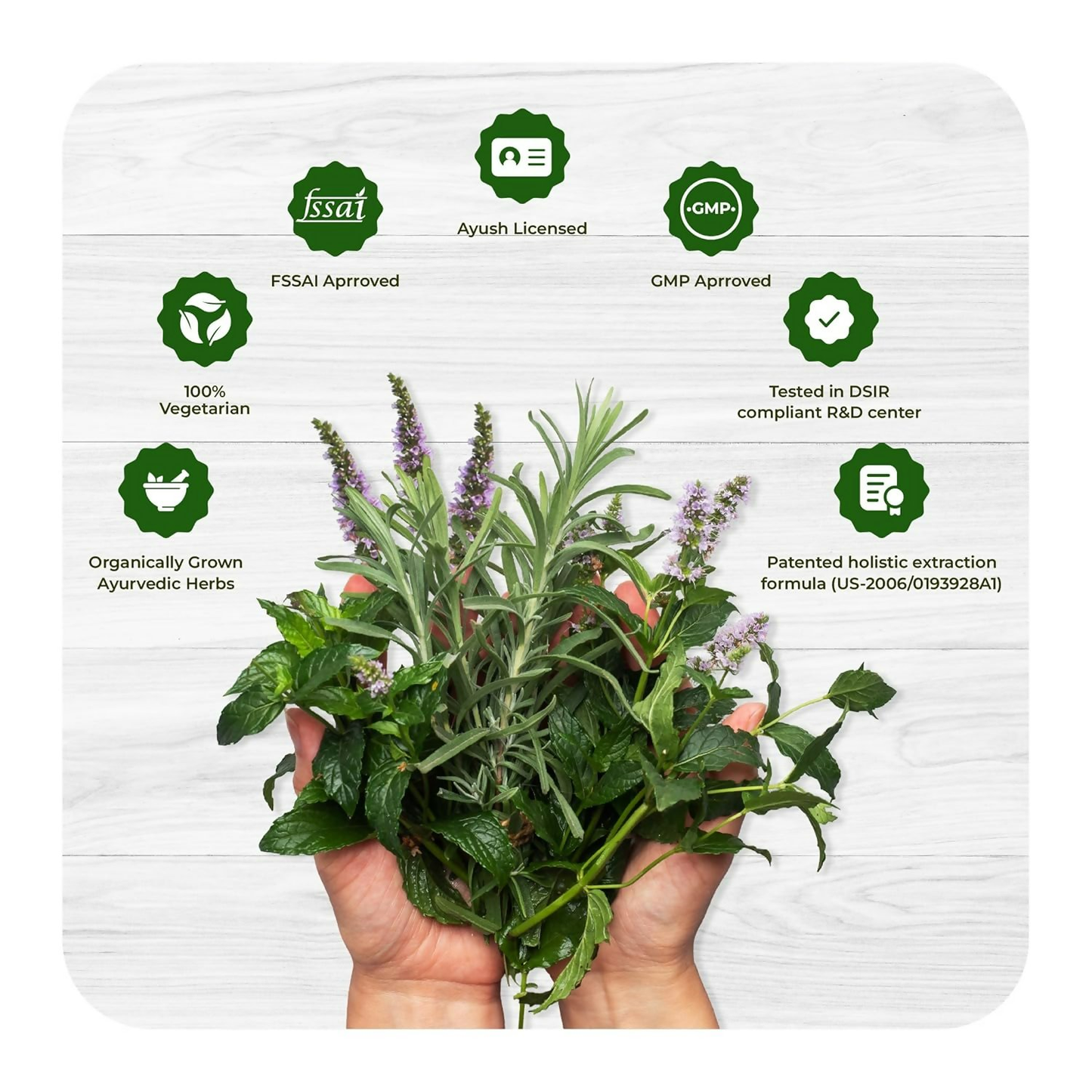 https://cdn.shopify.com/s/files/1/1857/6931/files/uHJNxAwLNg.png?v=1770378172