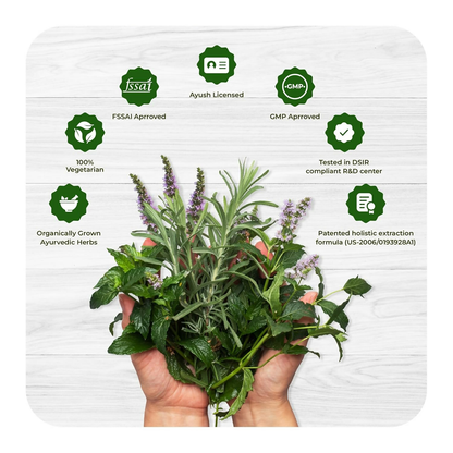 https://cdn.shopify.com/s/files/1/1857/6931/files/uHJNxAwLNg.png?v=1770378172