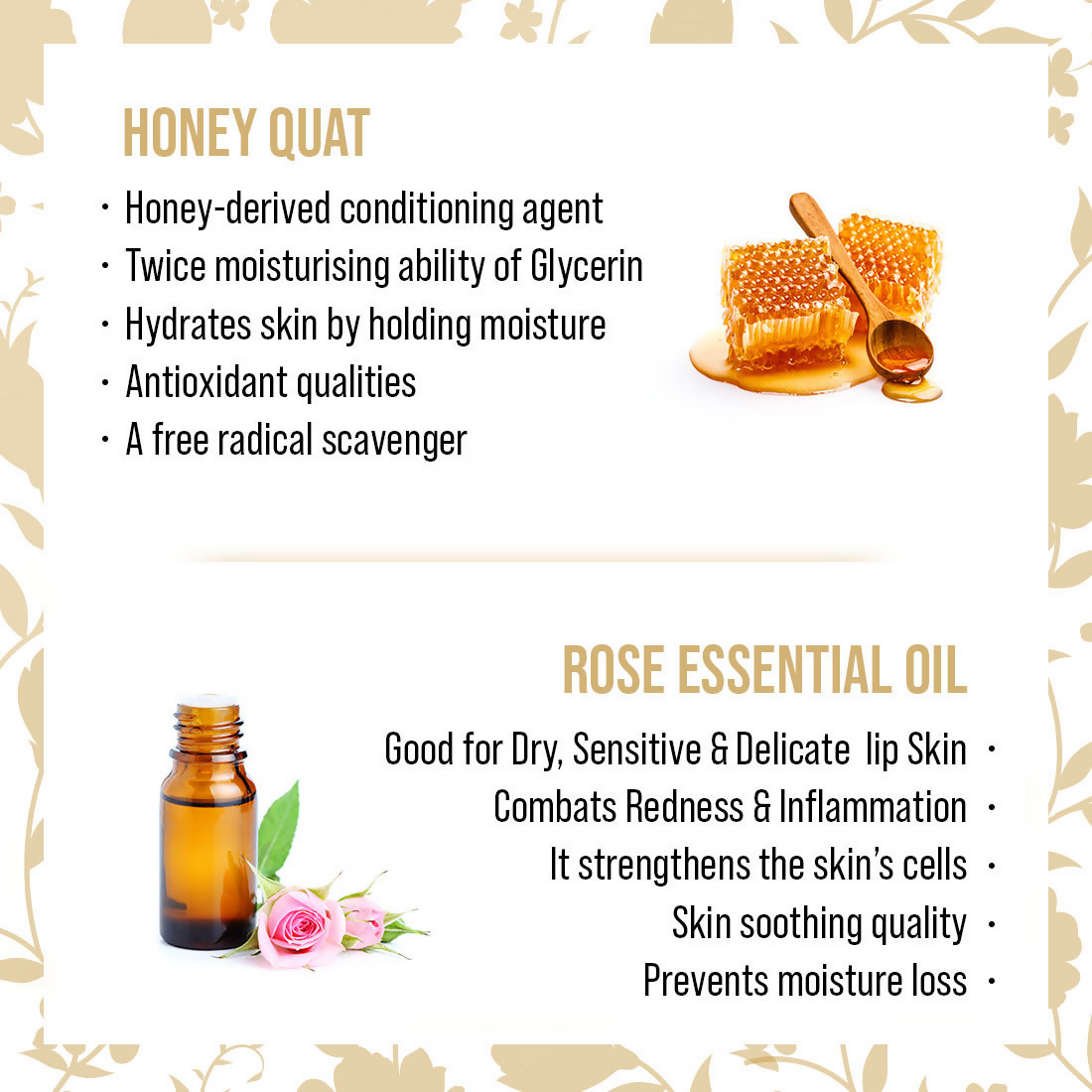https://cdn.shopify.com/s/files/1/1857/6931/files/uMHdGJJ20V.png?v=1725885357