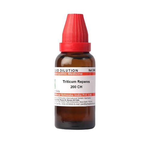 https://cdn.shopify.com/s/files/1/1857/6931/products/uMTqELW3uC.jpg?v=1640860099