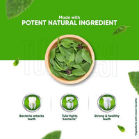 https://cdn.shopify.com/s/files/1/1857/6931/products/uOaCy9j5UA.jpg?v=1625156240