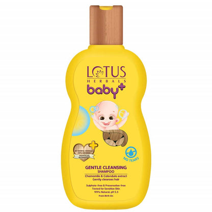 https://cdn.shopify.com/s/files/1/1857/6931/products/uPc0tHnR6P.jpg?v=1615516055