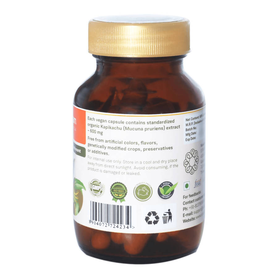 https://cdn.shopify.com/s/files/1/1857/6931/products/uQXx7wr6S1.jpg?v=1640776487