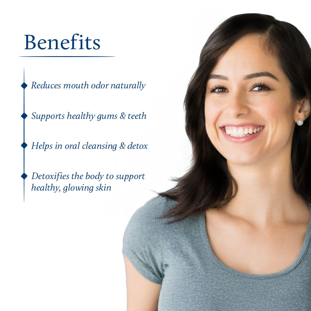 https://cdn.shopify.com/s/files/1/1857/6931/files/uQh4PYaXrm.png?v=1771414646
