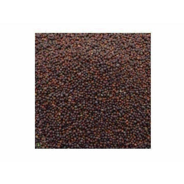 https://cdn.shopify.com/s/files/1/1857/6931/products/uSOMcEtzAV.jpg?v=1619963965