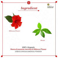 https://cdn.shopify.com/s/files/1/1857/6931/products/uSbCXvFwTW.jpg?v=1641979491