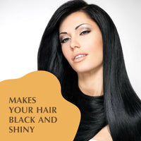 https://cdn.shopify.com/s/files/1/1857/6931/files/uUeueAPKg0.jpg?v=1731581458