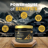 https://cdn.shopify.com/s/files/1/1857/6931/files/uV5nym9xCA.png?v=1727093960
