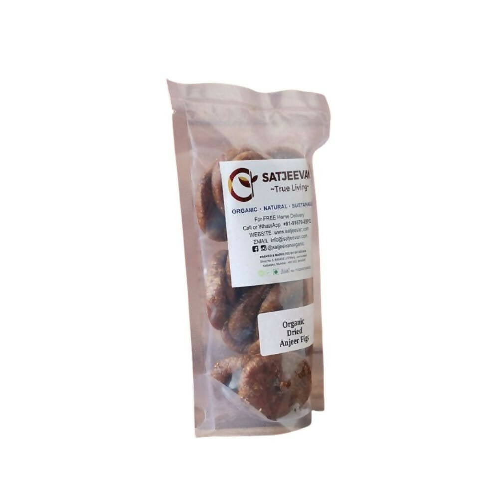 https://cdn.shopify.com/s/files/1/1857/6931/products/uXrfQThvWy.jpg?v=1709185379