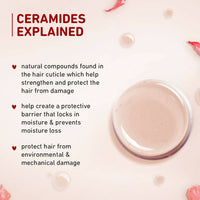 https://cdn.shopify.com/s/files/1/1857/6931/products/ueY8dtWt0n.jpg?v=1697519597