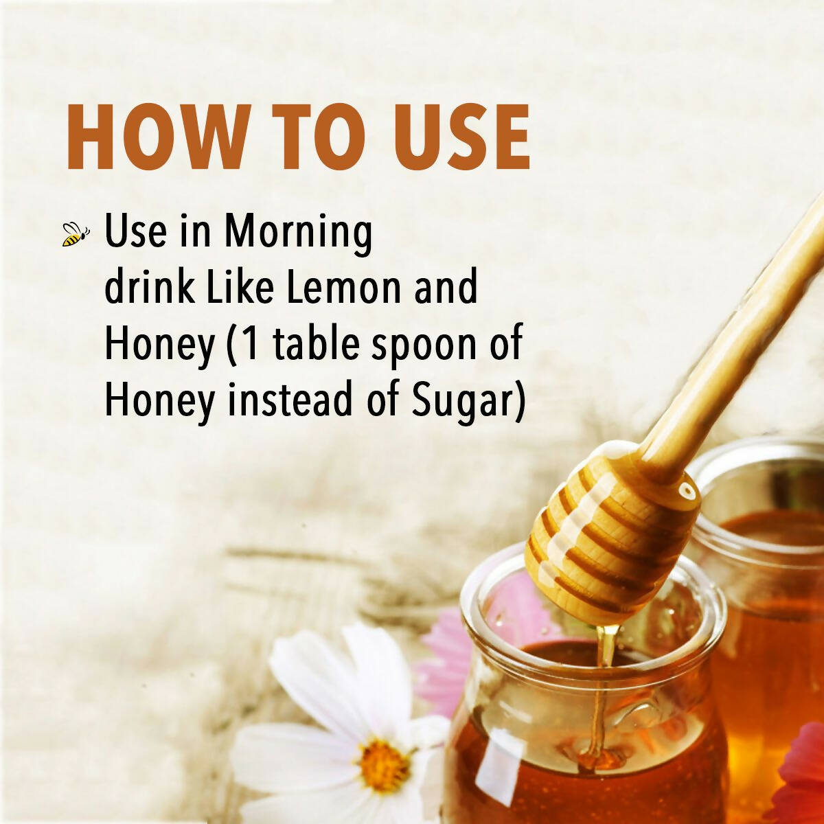 https://cdn.shopify.com/s/files/1/1857/6931/products/uhEV5k24Ry.jpg?v=1673266976
