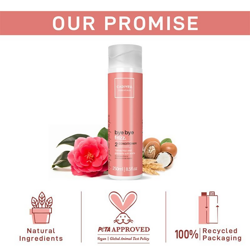https://cdn.shopify.com/s/files/1/1857/6931/files/uhfLPCkPir.png?v=1722227259