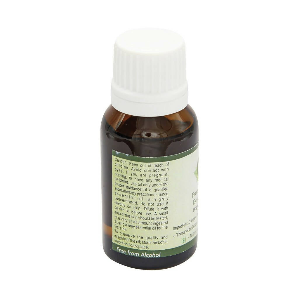 https://cdn.shopify.com/s/files/1/1857/6931/products/ui3MgzUIRA.jpg?v=1683008913