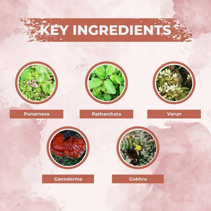 https://cdn.shopify.com/s/files/1/1857/6931/files/uiTaH0S1Ej-658049.jpg?v=1736143808